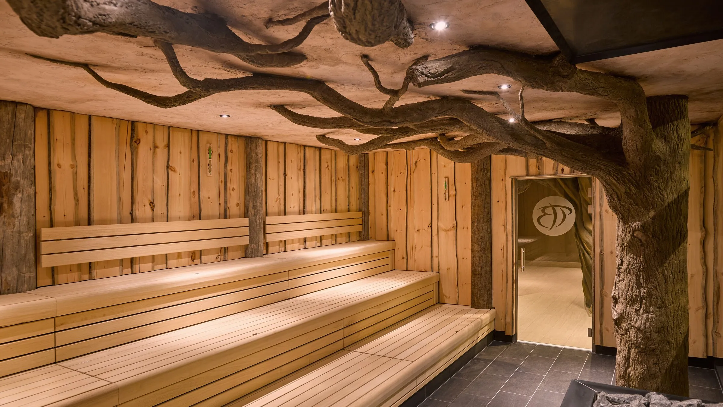 De Sequoia Sauna van Thermen Bad Nieuweschans, met een boomstam die door de ruimte loopt