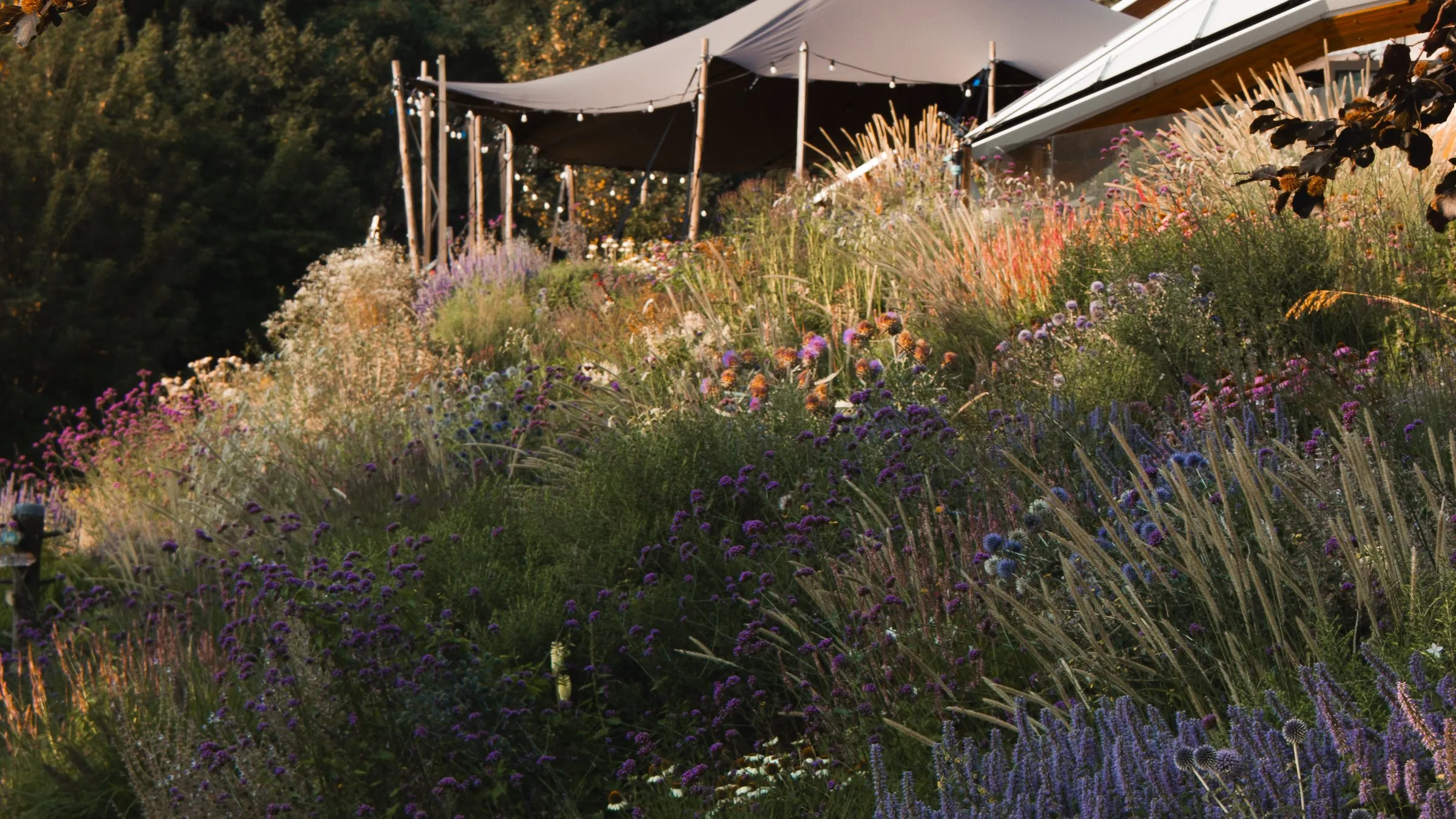 De bloemrijke tuin van Thermae 2000, met het terras van de loungebar op de achtergrond